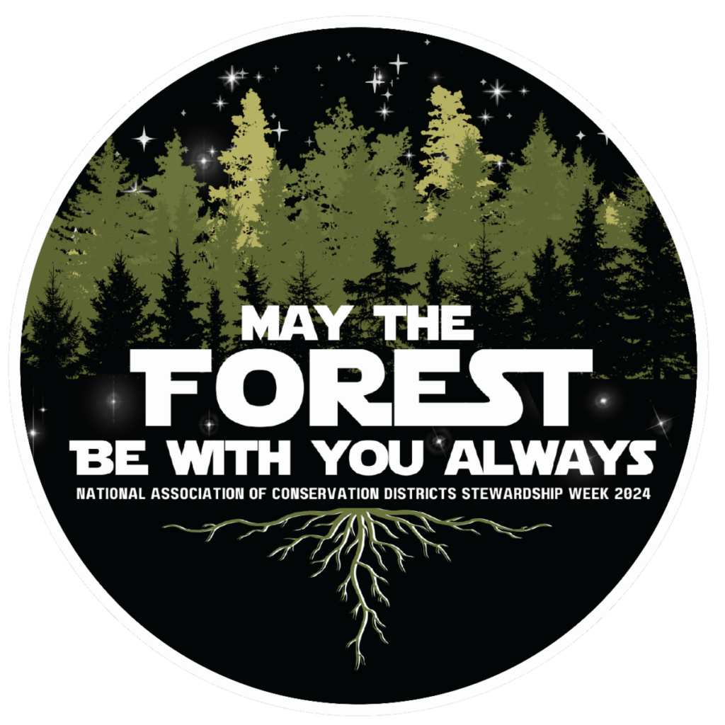 2024 Poster Contest Theme May the Forest Be with You, Always »